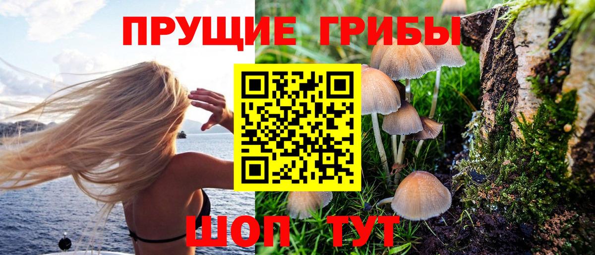 Псилоцибиновые грибы Magic Shrooms Костомукша