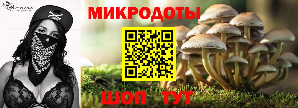 Костомукша  Псилоцибиновые грибы Magic Shrooms  Вход с VPN 